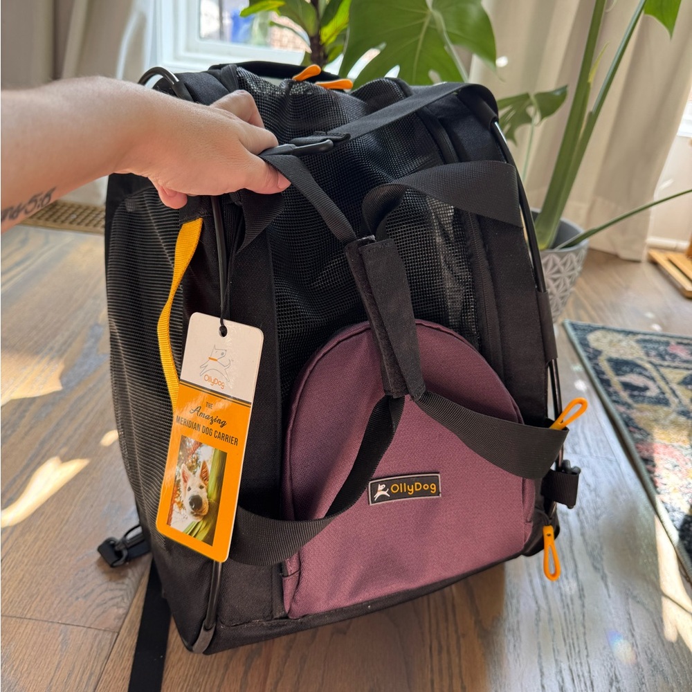 Ollydog Meridian Convertible Travel Backpack